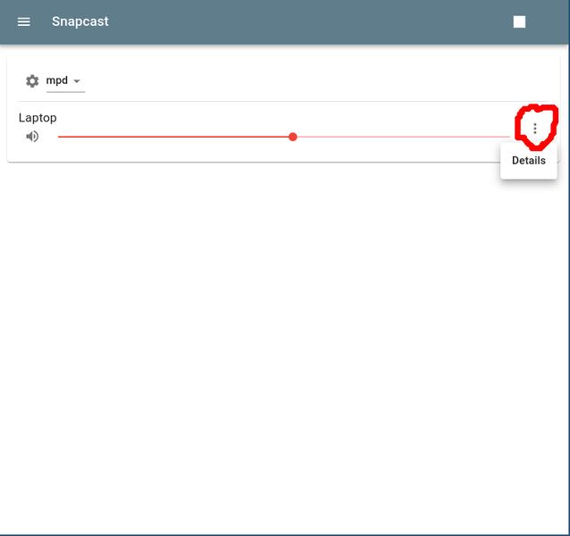 Details menu in Snapcast web interface